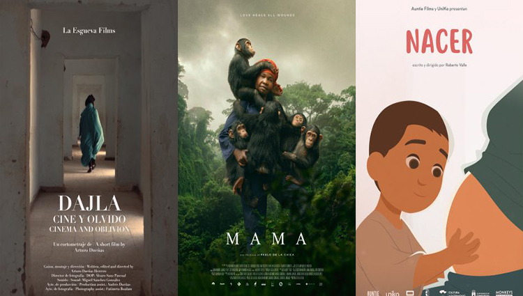 BLOG Escuela de Cine y TV Septima Ars